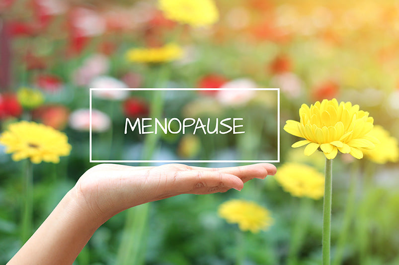 Menopause Diet for Weight Loss: Essential Foods to Try LuxeIt Blog